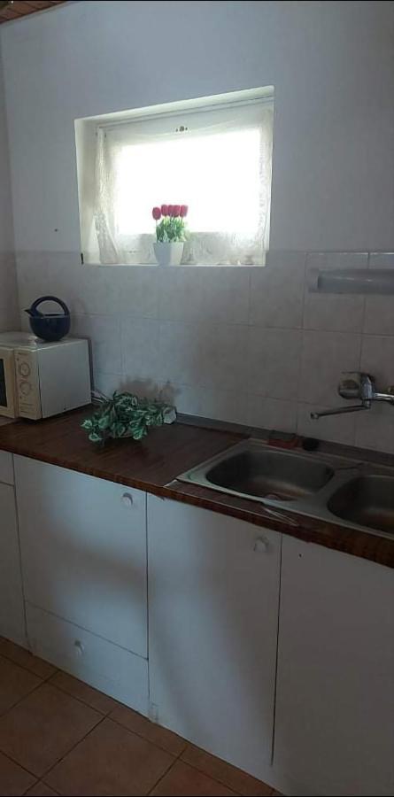 Apartament Badacsonyi Privat Berlemeny Badacsonytomaj Zewnętrze zdjęcie