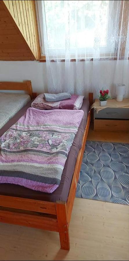 Apartament Badacsonyi Privat Berlemeny Badacsonytomaj Zewnętrze zdjęcie